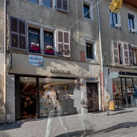 Le Cocon Carnot - Studio Cosy En Plein Coeur De La D'annecy Apartamento *
